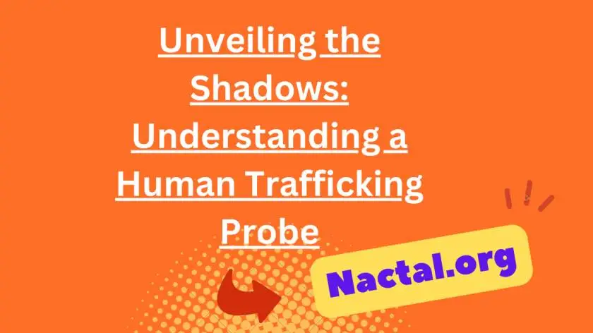 Unveiling the Shadows: Understanding a Human Trafficking Probe